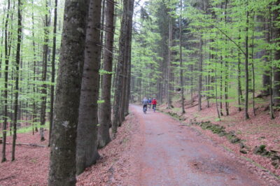 Rad-Tagesfahrt: Schwarzenberger Schwemmkanal