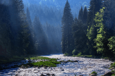 Rad-Tagesfahrt: Böhmerwald – Moldaustausee